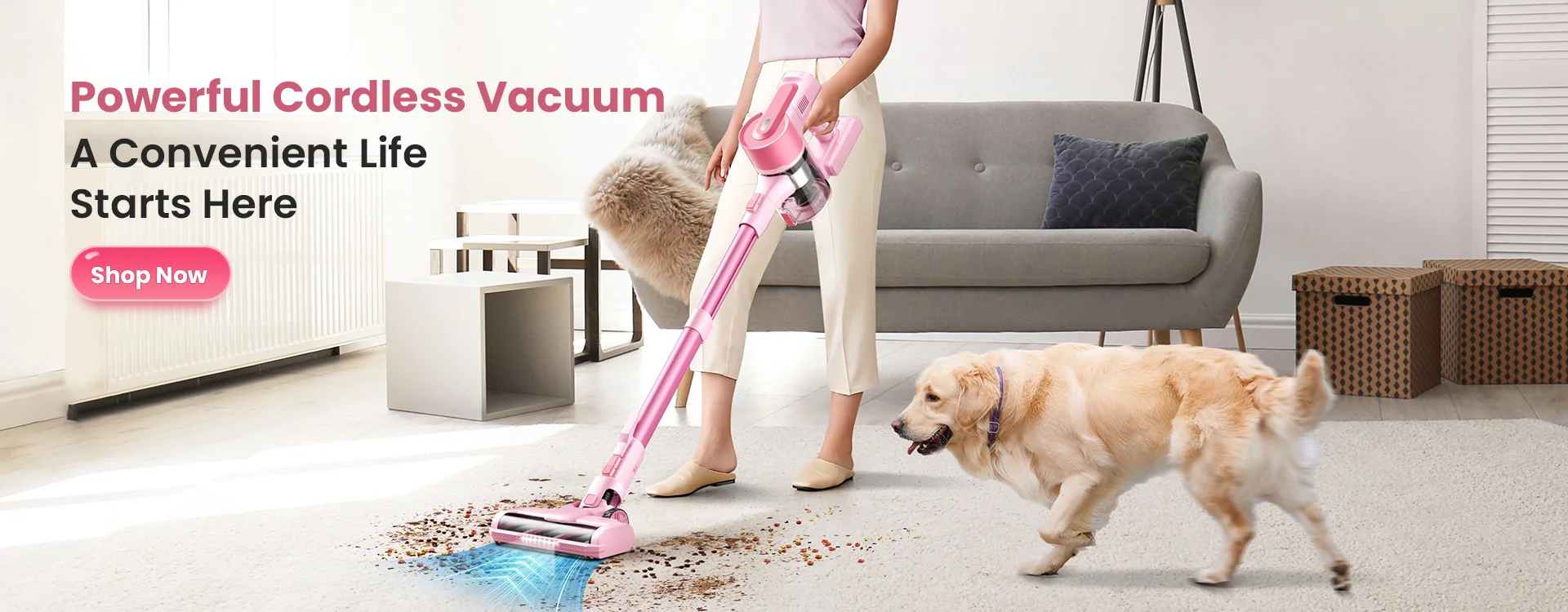 Clean Living Made Truly Effortless